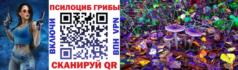 Галлюциногенные грибы прущие грибы  мега зеркало  Ужур 