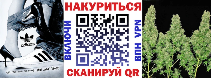 мориарти телеграм хочу Ужур Марихуана гибрид